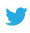 twitter icon